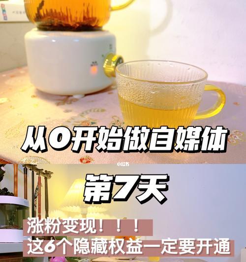 新手适合拍什么视频涨粉？如何快速吸引粉丝关注？