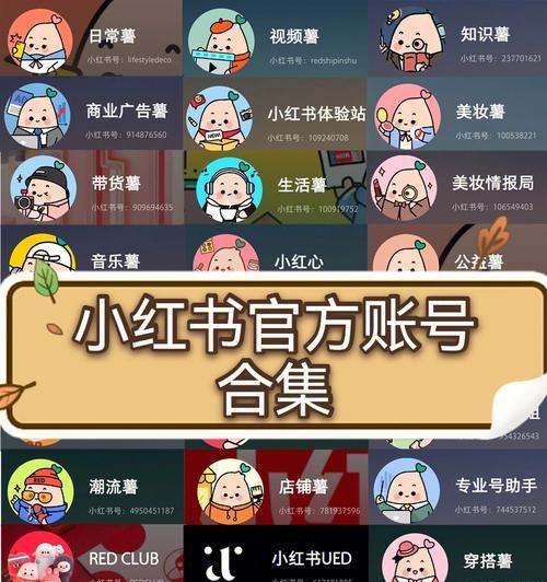 小红书博主如何接广告？广告合作流程是什么？