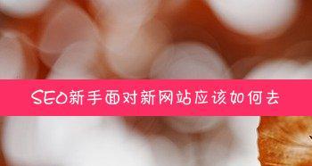 新站进入百度沙盒怎么优化？优化策略有哪些？