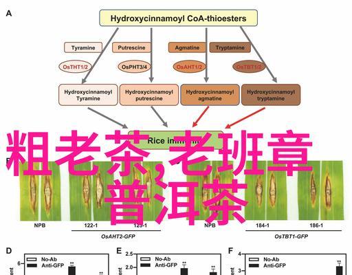 站长seo应该关注哪些指标？如何优化网站排名？