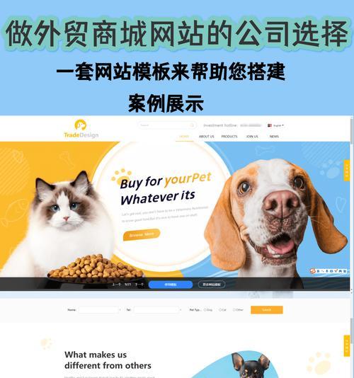 如何选择一个好的网站设计网站？