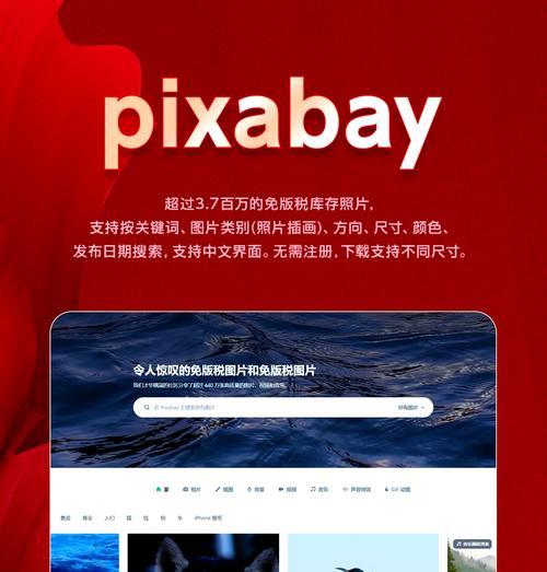 网站内为什么搜索不了关键词