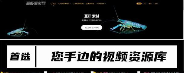 视频素材网站免费下载可靠吗？如何避免版权问题？