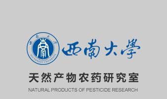 SEO教研中应注意哪些关键点？