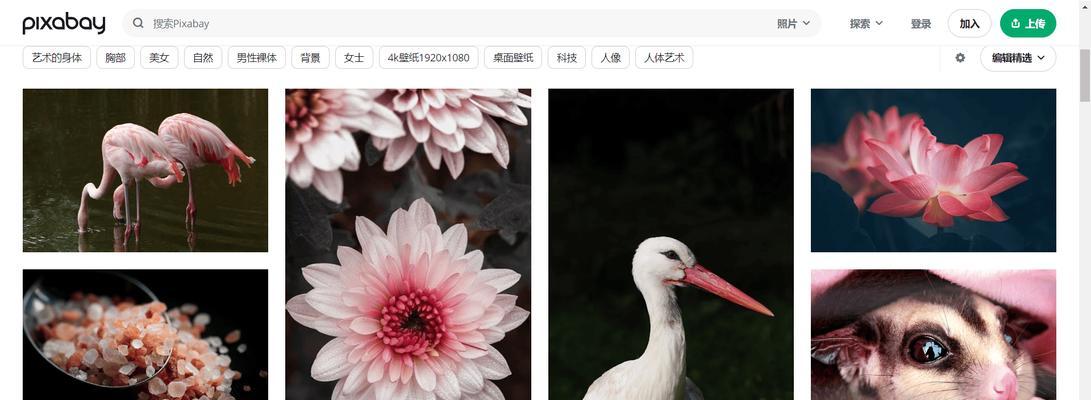 哪里可以找到免费的素材网站下载资源？如何分辨素材质量？