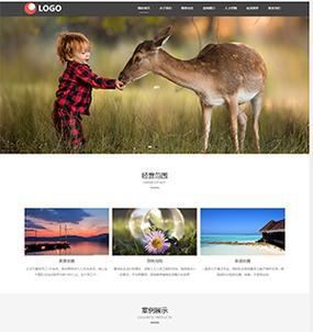 摄影作品网站如何优化SEO以吸引更多访问者？