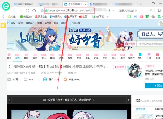 bi哔哩哔哩.官网下载视频时遇到问题如何解决？站长工具、能帮忙吗？