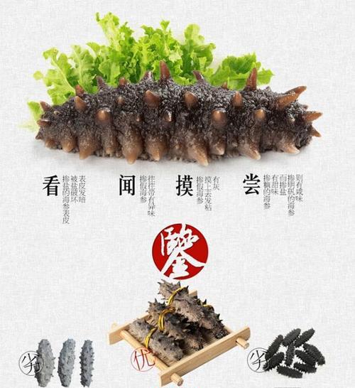 淘宝海参关键词的撰写技巧有哪些？