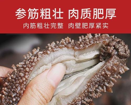 淘宝海参关键词的撰写技巧有哪些？