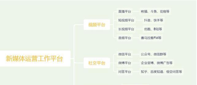 SEO与新媒体哪个更有发展前景？未来趋势如何预测和适应？