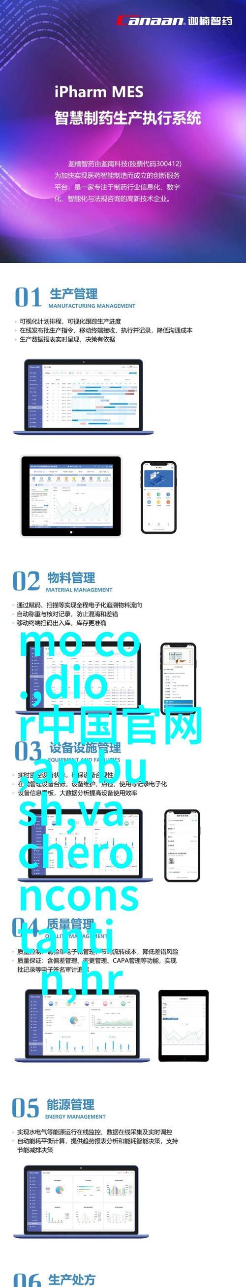SEO优化中常见的错误有哪些？如何避免这些错误？