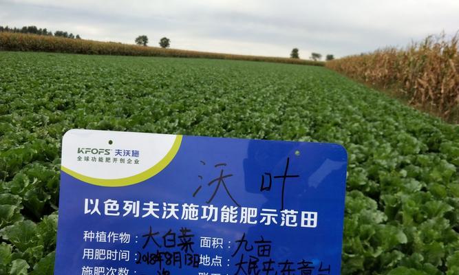 辽宁地区关键词排名优化的方法是什么？如何跟踪优化效果？