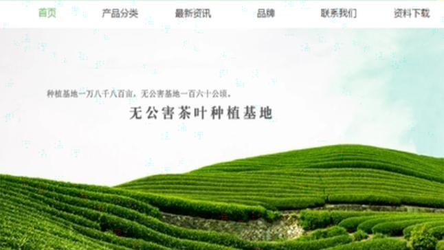 茶叶的网站如何建设？茶叶电商网站的优化要点是什么？