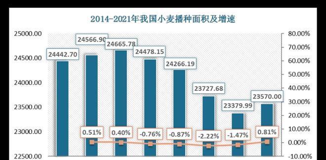 娄底网站开发的市场前景如何？