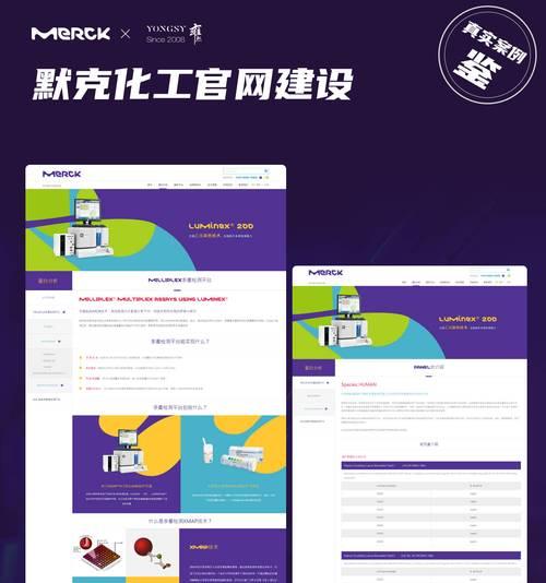 上海网站seo排名如何提升？有哪些方法？