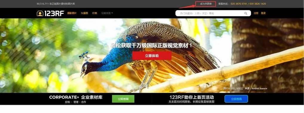 视频素材网站如何使用？有哪些优质的视频素材网站推荐？