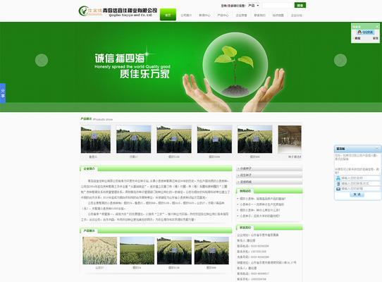 青岛网站制作流程是怎样的？如何确保网站质量？