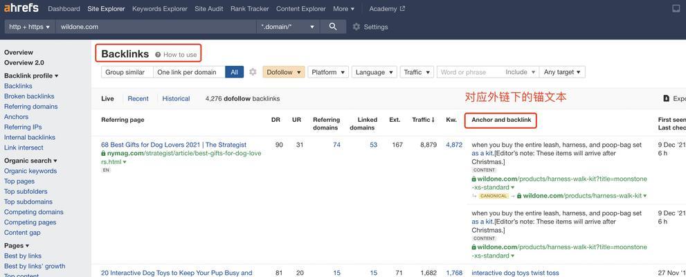 SEO新手快速入门指南？如何避免常见错误？