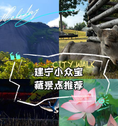 有哪些宝藏小众搜索引擎推荐？它们有何特点？