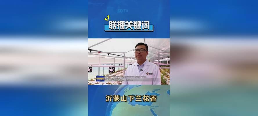 塔城SEO关键词是什么？如何优化塔城SEO关键词？