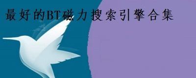 大唐磁力搜索引擎是什么？如何使用大唐磁力搜索引擎？