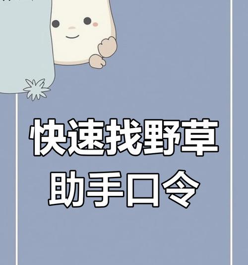 野草助手口令搜索引擎是什么？如何使用这个搜索引擎？