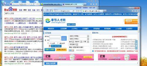 无审核的搜索引擎有哪些？它们的优势和风险是什么？