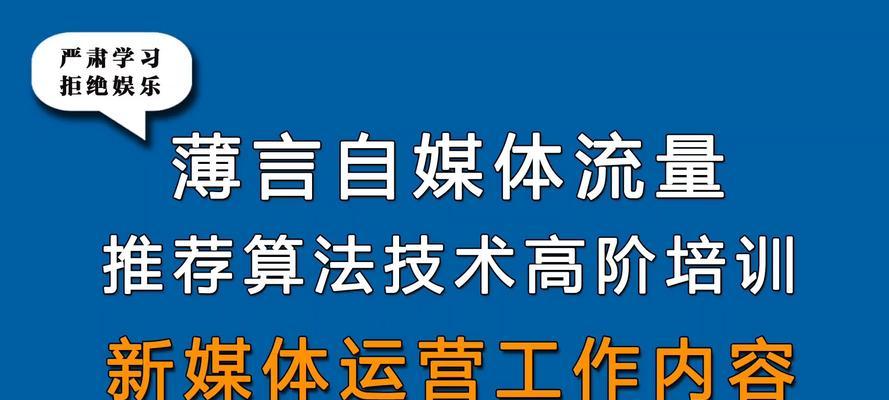 禹会抖音seo咨询能提供哪些服务？