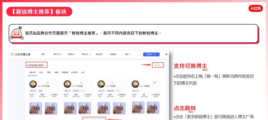 小红书关键词指数如何查询？