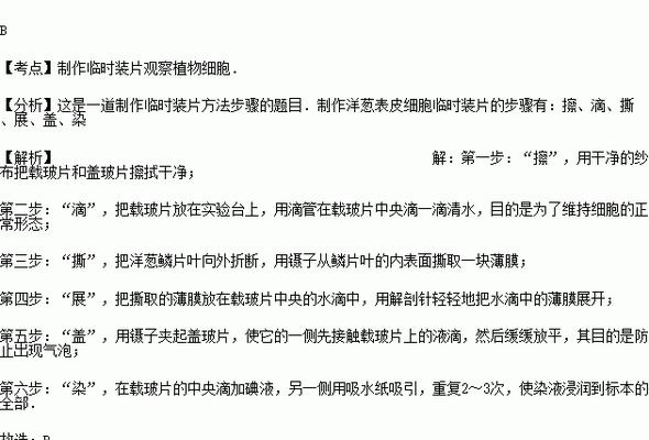 网站录入关键词的正确步骤是什么？