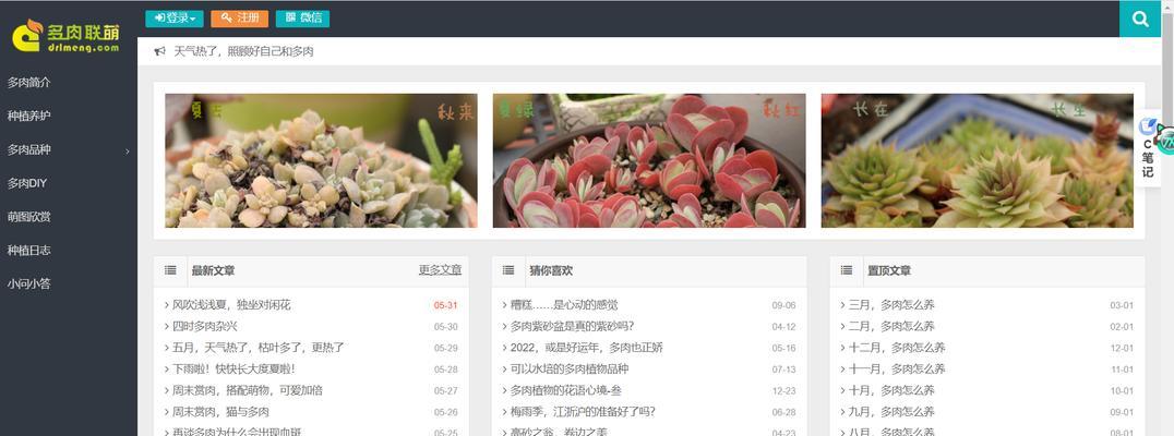 网站搜索优化方案有哪些类型？