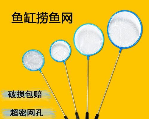 如何制作小捞鱼网站推广？网站推广有哪些常见问题？