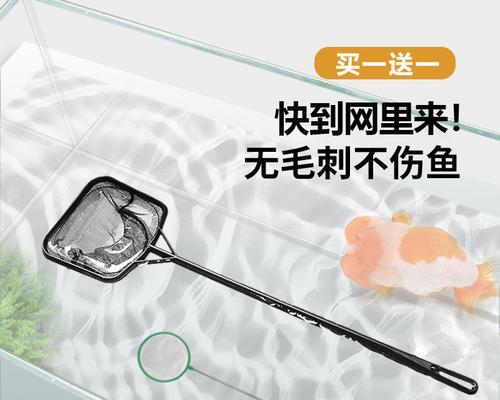 如何制作小捞鱼网站推广？网站推广有哪些常见问题？