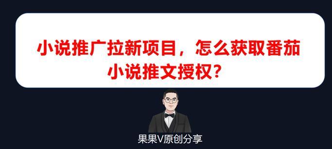 如何推广盗版小说网站？有效策略和常见问题解答？