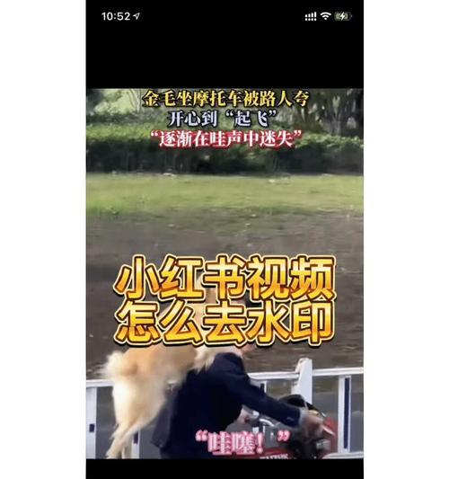 小红书合集视频剪辑技巧？如何高效制作视频合集？