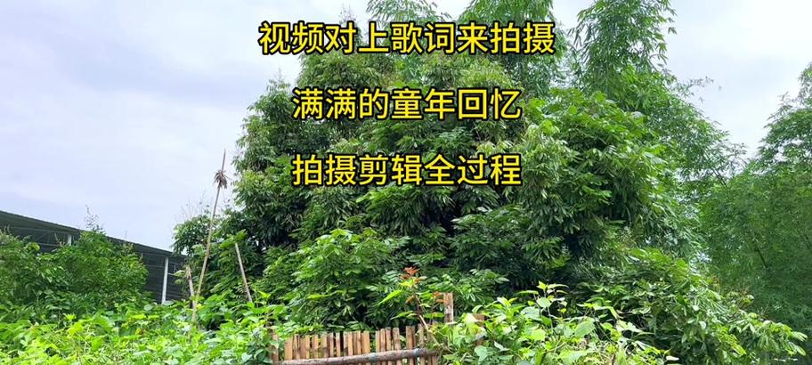 剪辑歌曲到抖音的步骤是什么？如何确保音质不损失？