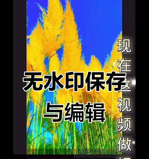 快手视频剪辑技巧：如何制作清晰流畅的视频内容？