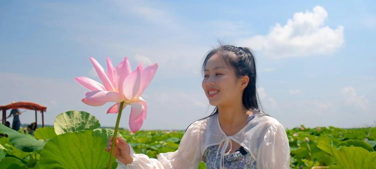 莲花网站推广服务如何选择？常见问题有哪些解决方案？