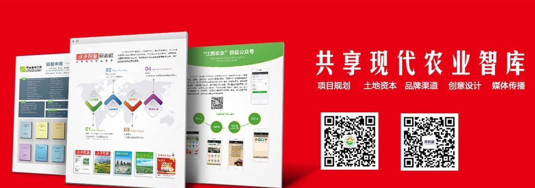 南昌网站推广效果如何？提升网站流量的秘诀是什么？