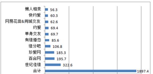 婚恋网站分析报告怎么写？需要包含哪些关键要素？