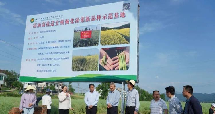 汉中网站如何推广文章？有哪些有效的推广策略？