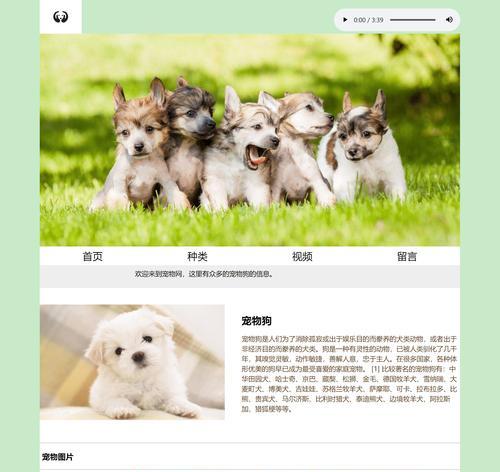 HTML网页制作软件有哪些？如何选择适合自己的工具？