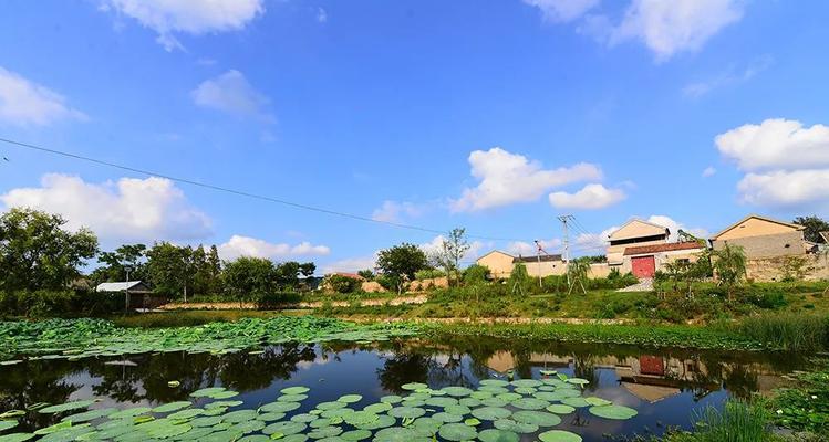 滁州短视频优化效果怎么样？如何提升短视频的优化效果？