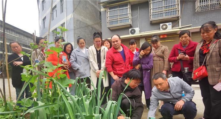 梁平区短视频优化怎么做？如何提升短视频在梁平区的曝光率？