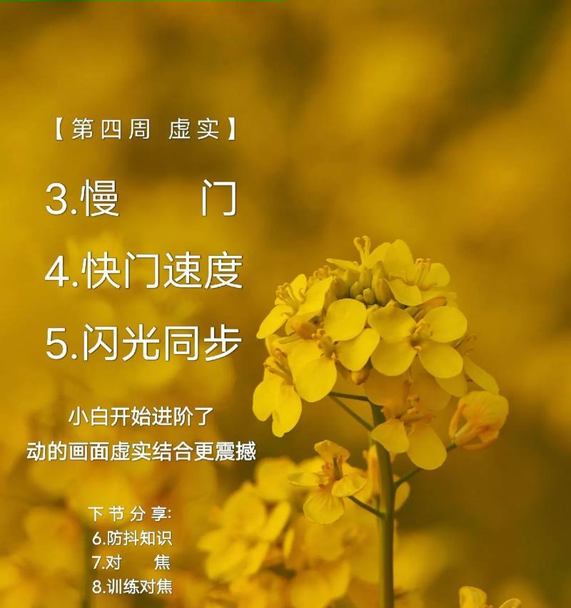 抖音照片虚化效果怎么实现？视频编辑技巧大揭秘？