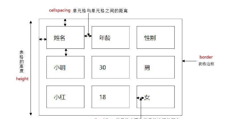 HTML链接目标属性有哪些？如何正确使用它们？