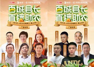 助农网站特点分析怎么写？如何通过内容提升用户体验？