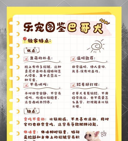 狗狗网站设计分析怎么写？有哪些要点需要注意？