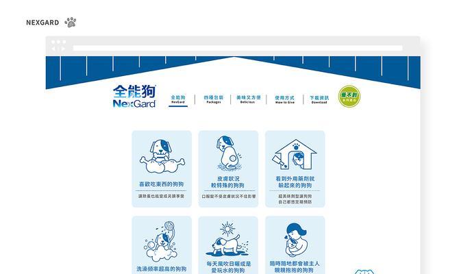 狗狗网站设计分析怎么写？有哪些要点需要注意？