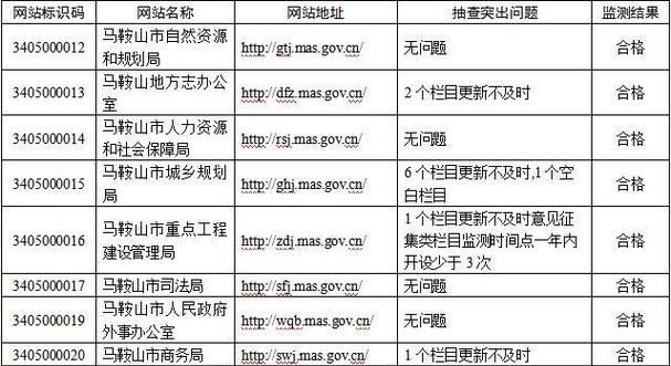 政务网站安全分析怎么写？分析步骤和常见问题有哪些？